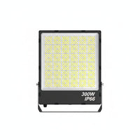 Lysverden FL16 LED floodlight, 300W, IP66 rated, with adjustable color temperature and 200 lm/W efficiency. Black aluminum housing.