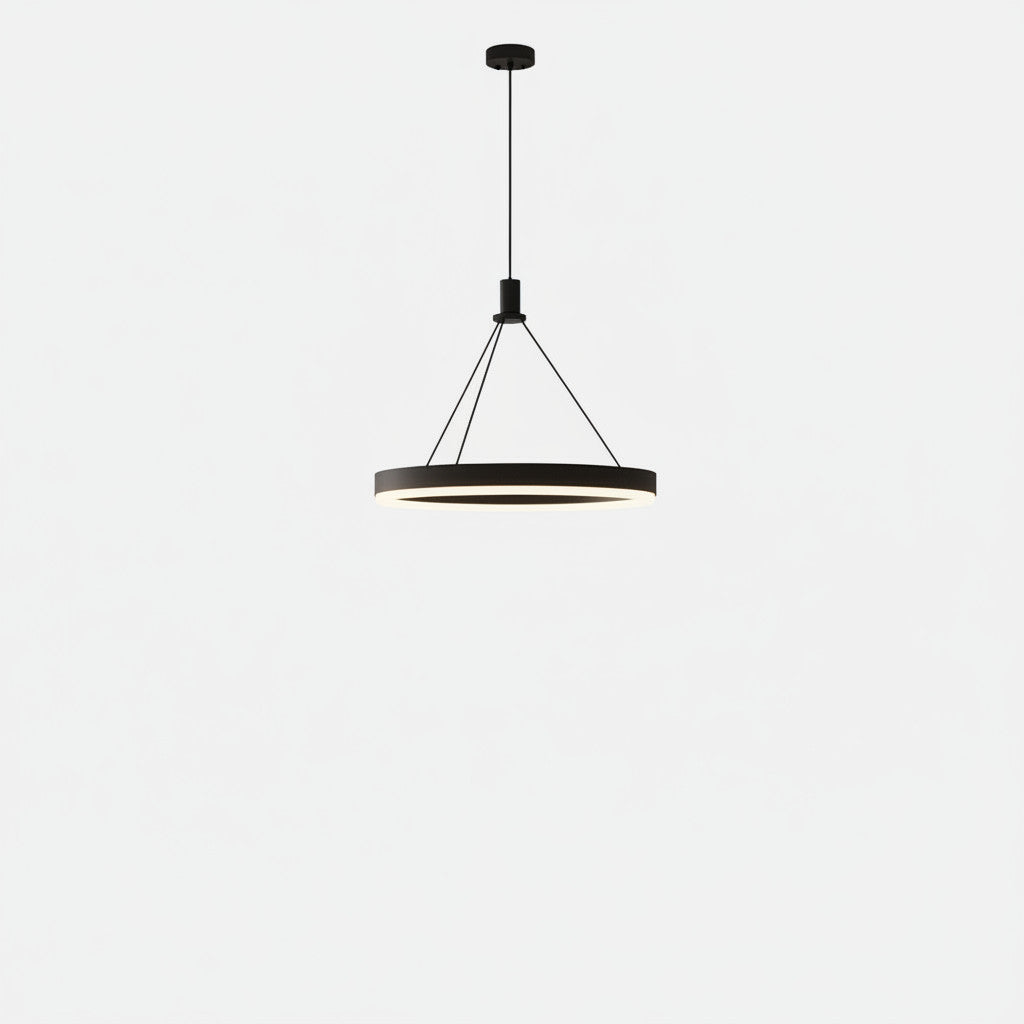 Lysverden minimalistisk rund sort LED-ringpendel med varmhvitt lys for moderne skandinaviske interiør